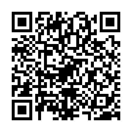 QR code for C333393