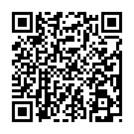QR code for C333962
