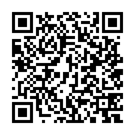 QR code for C375787