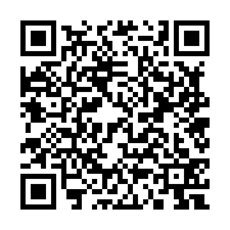 QR code for C378336