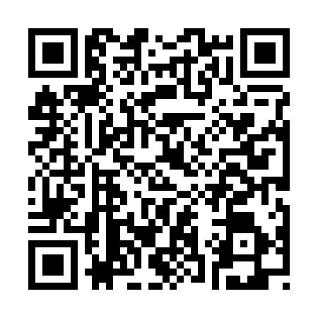 QR code for C382161
