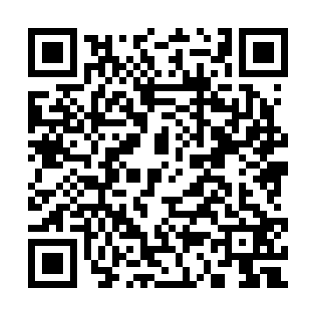 QR code for C382225
