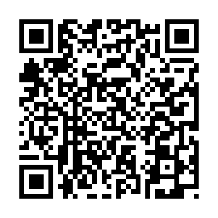 QR code for C382491