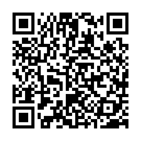 QR code for C38309
