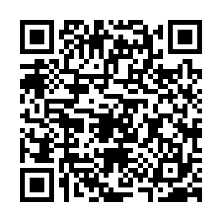 QR code for C383379