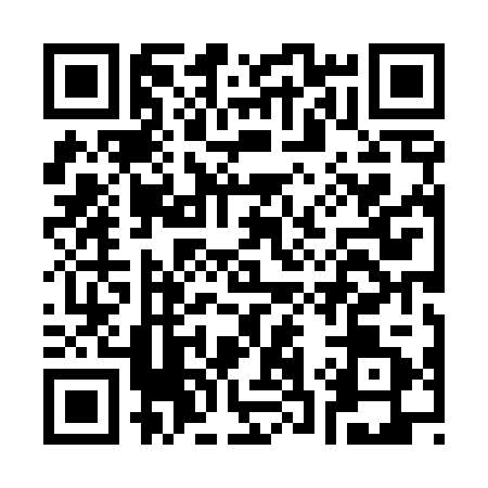 QR code for C384212