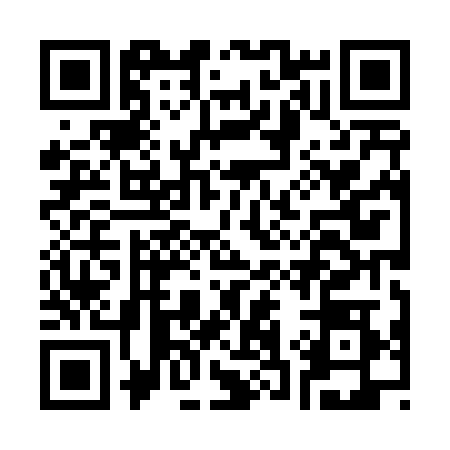 QR code for C384289