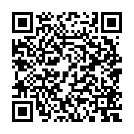 QR code for C386493