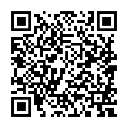 QR code for C389812