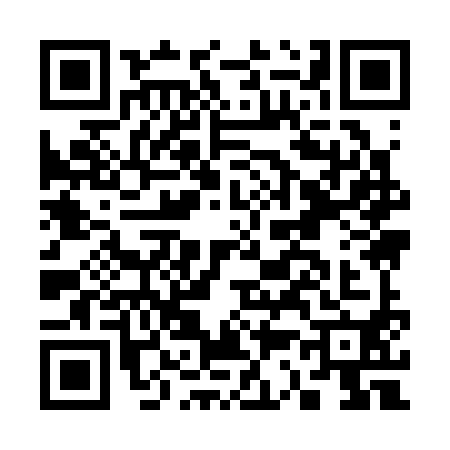 QR code for C393906