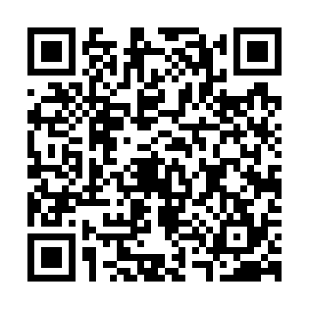 QR code for C447349