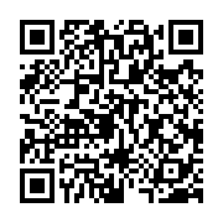 QR code for C507385