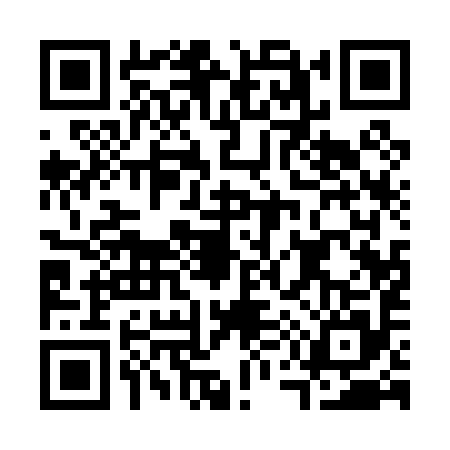 QR code for C510954