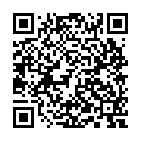 QR code for C51393