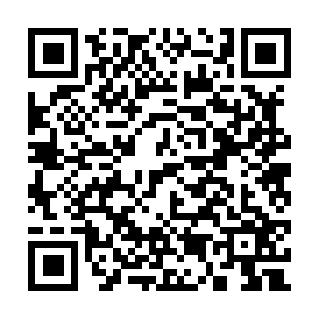 QR code for C528266