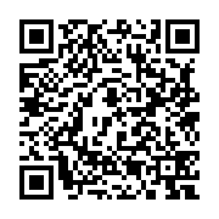 QR code for C538390