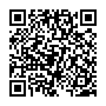 QR code for C595223