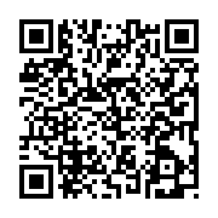 QR code for C595374