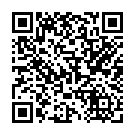 QR code for C63394