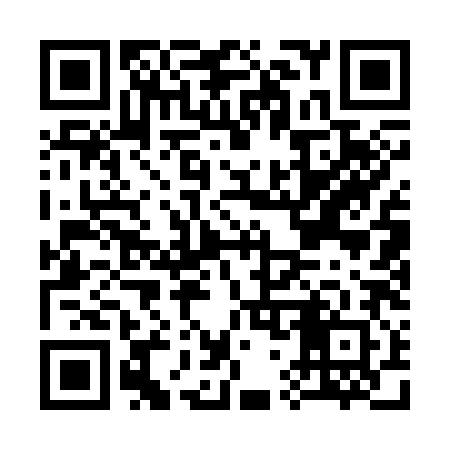 QR code for C71382