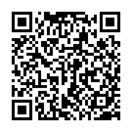QR code for C79381