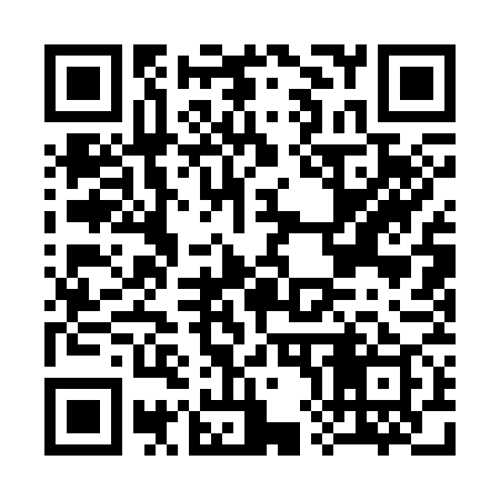 QR code for C81379