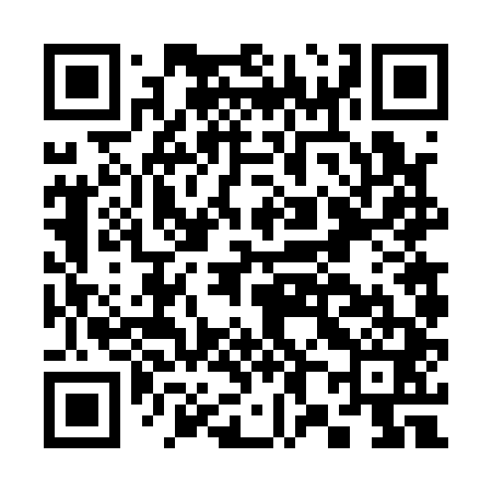 QR code for C86141