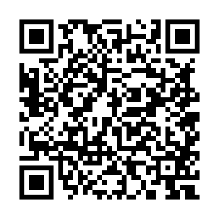 QR code for C878868