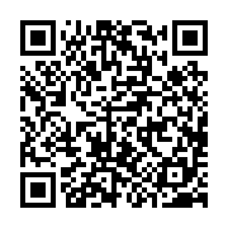 QR code for C90295