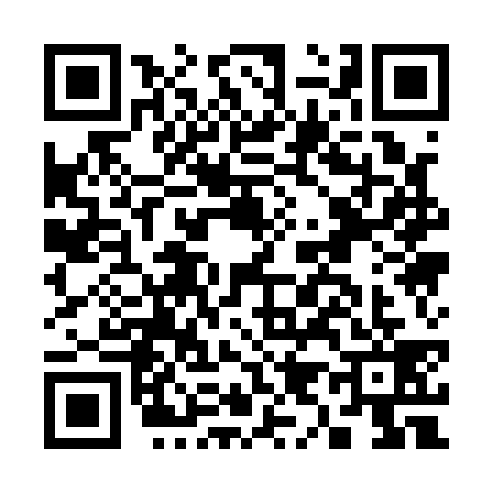 QR code for C911393