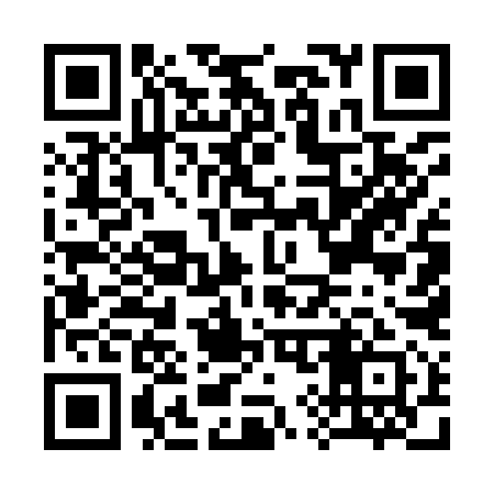 QR code for C95991