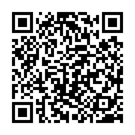 QR code for C98738