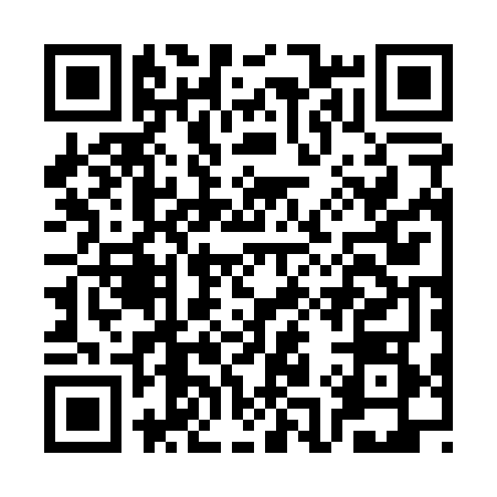QR code for CA20687