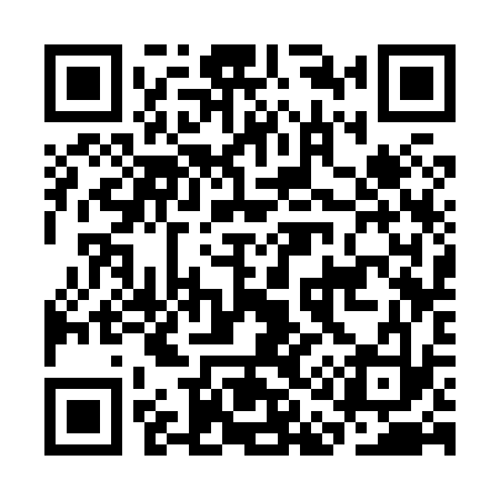 QR code for CA3833