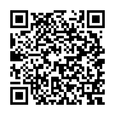 QR code for CA56913