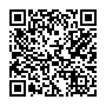 QR code for CA6291