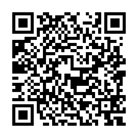 QR code for CA87995