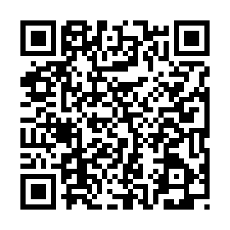 QR code for CA97478