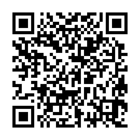 QR code for CCG383