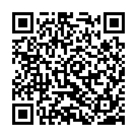 QR code for CDG334