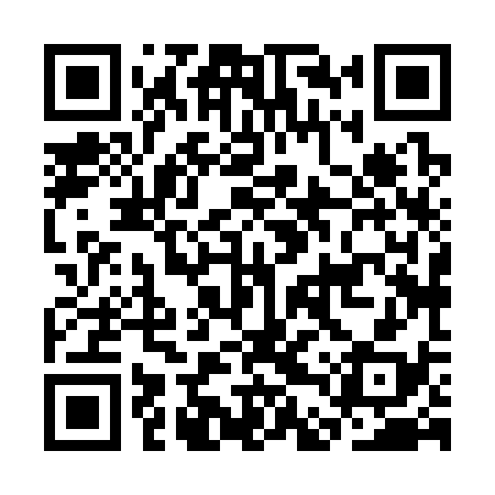 QR code for CDX338