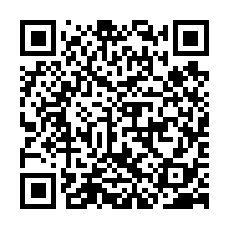 QR code for CFS638