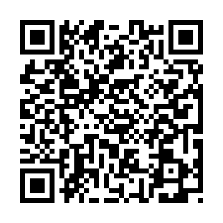 QR code for CH09638