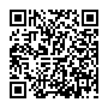 QR code for CH17398