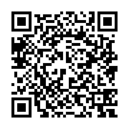 QR code for CH85385