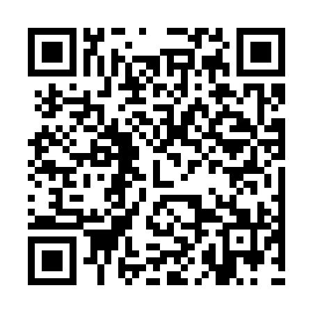 QR code for CHF391