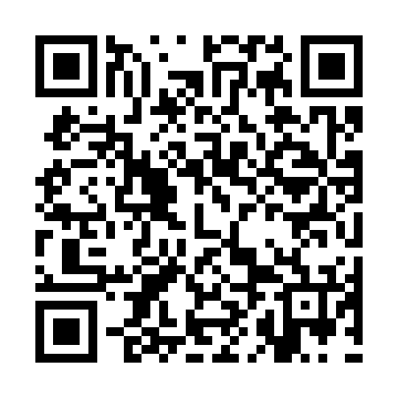 QR code for CHK376
