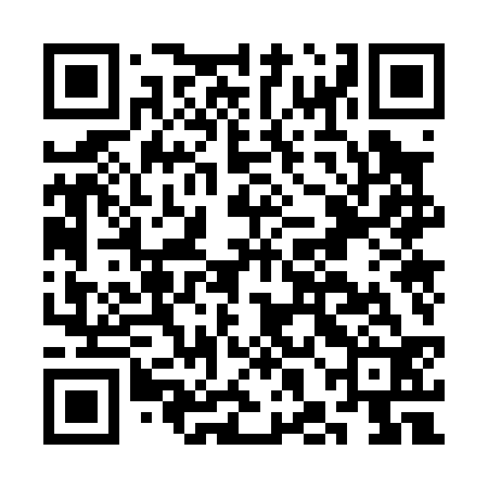 QR code for CHO032