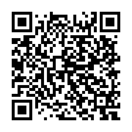 QR code for CI1594