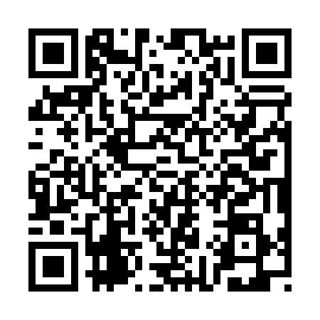 QR code for CI30784